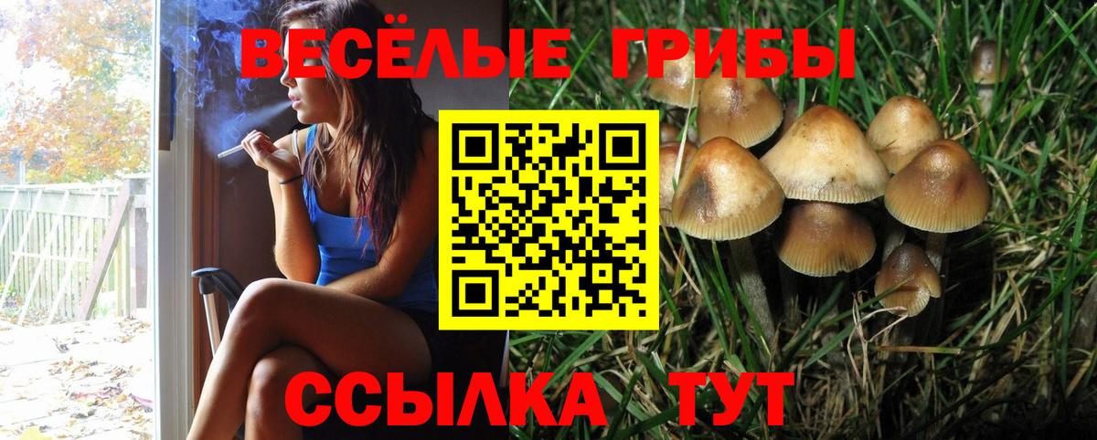 Псилоцибиновые грибы MAGIC MUSHROOMS  Вход с VPN  Ижевск 